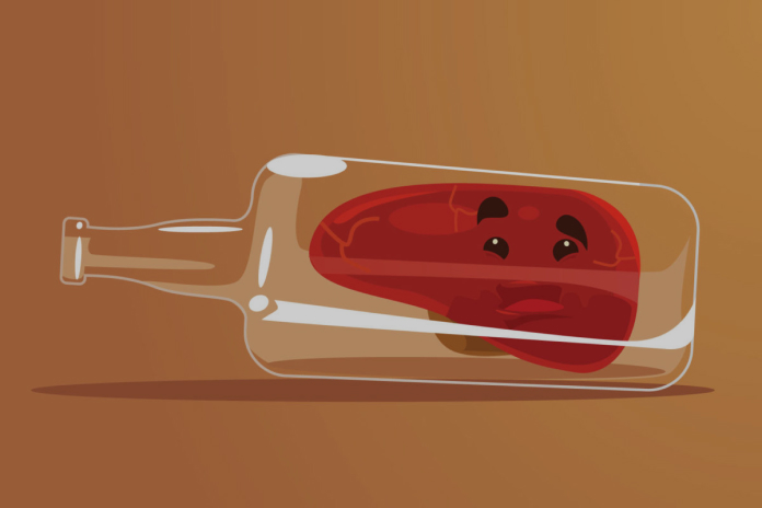 влияние алкоголя на печень